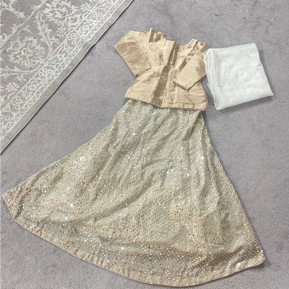 Lehanga choli - Picture 5 of 6